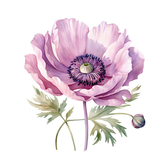 6fb6ec6614d535f250c22604b8f0c476