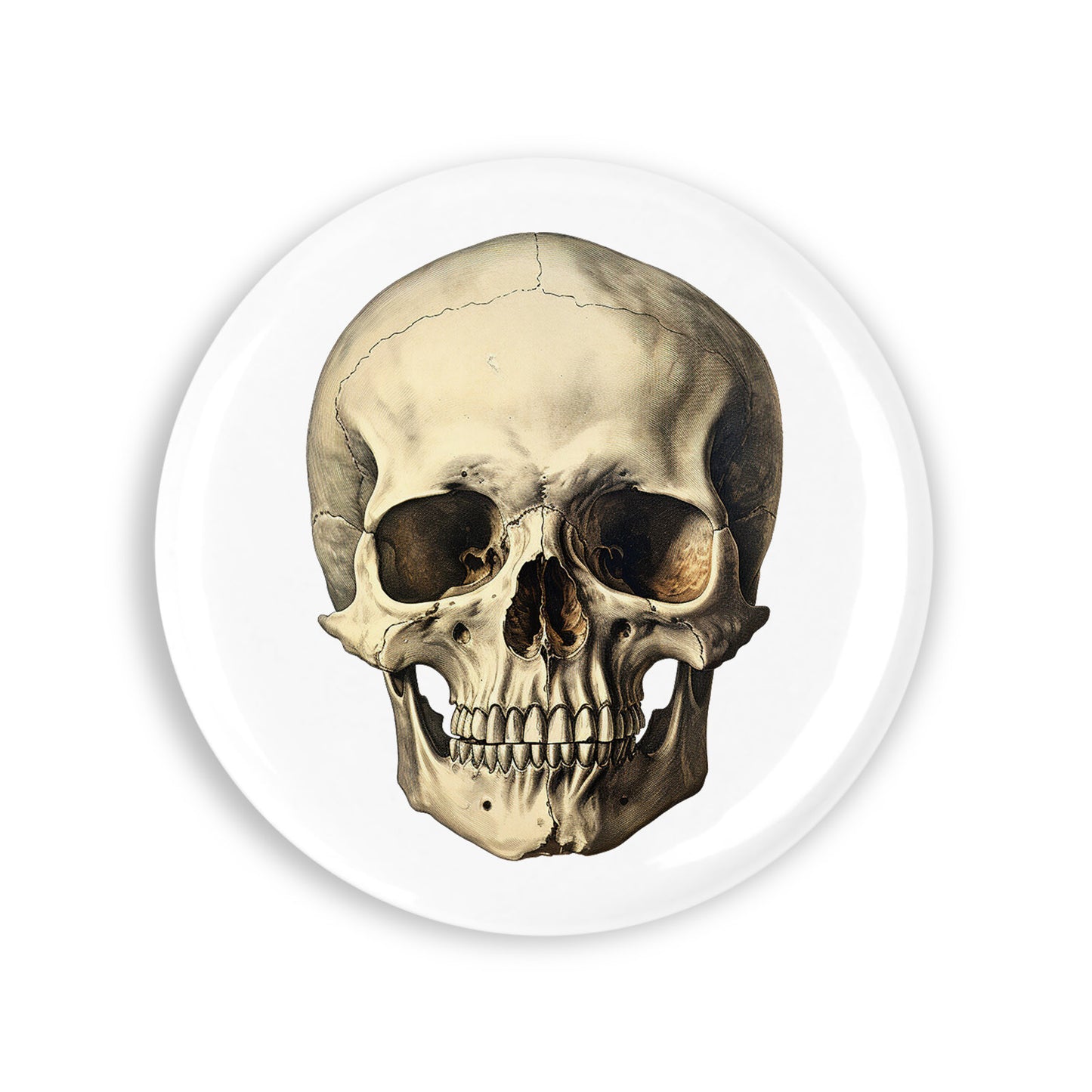 595039abc0e14fc9d6e8748511b3744b