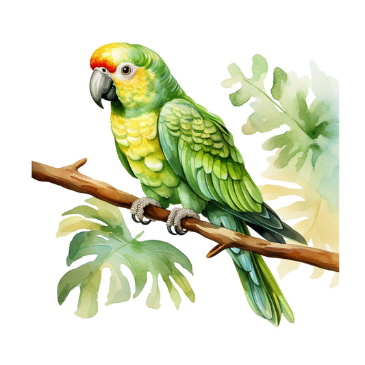 5505a1817d95f35e7ddfeb1370a45b94