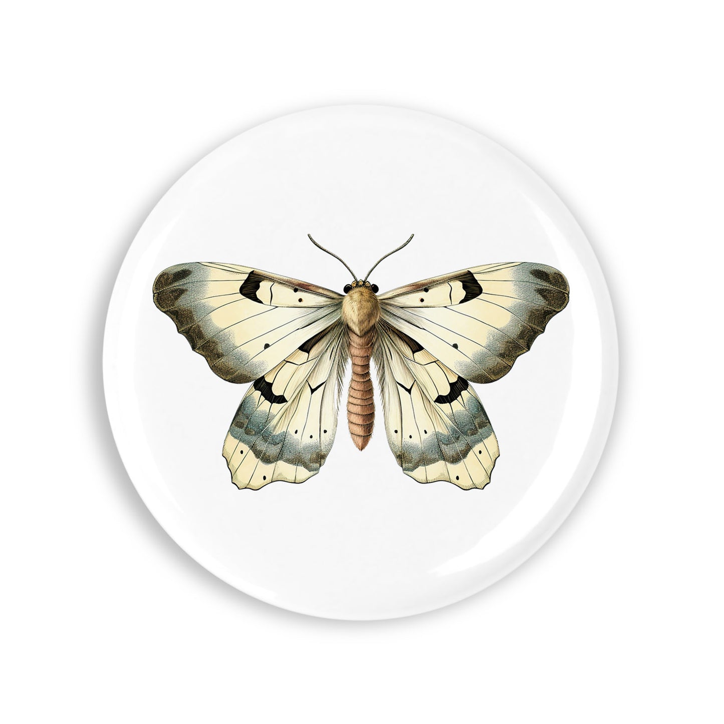 763ccd74e6c2fbcf5a0ca7bdf5bd896e