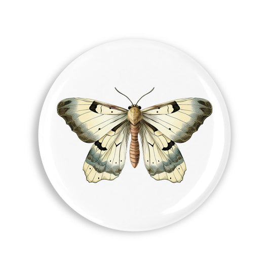 763ccd74e6c2fbcf5a0ca7bdf5bd896e