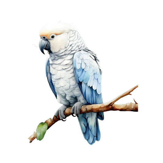 c349a3884c2910be90f742cecd317f8f