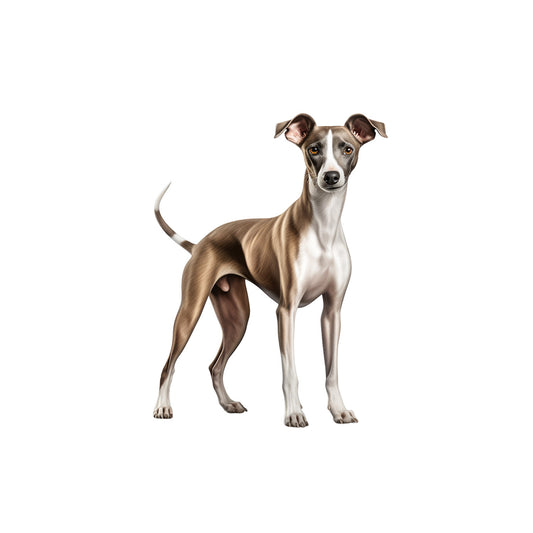 806fe811fbf4ed81511f42da212663a3