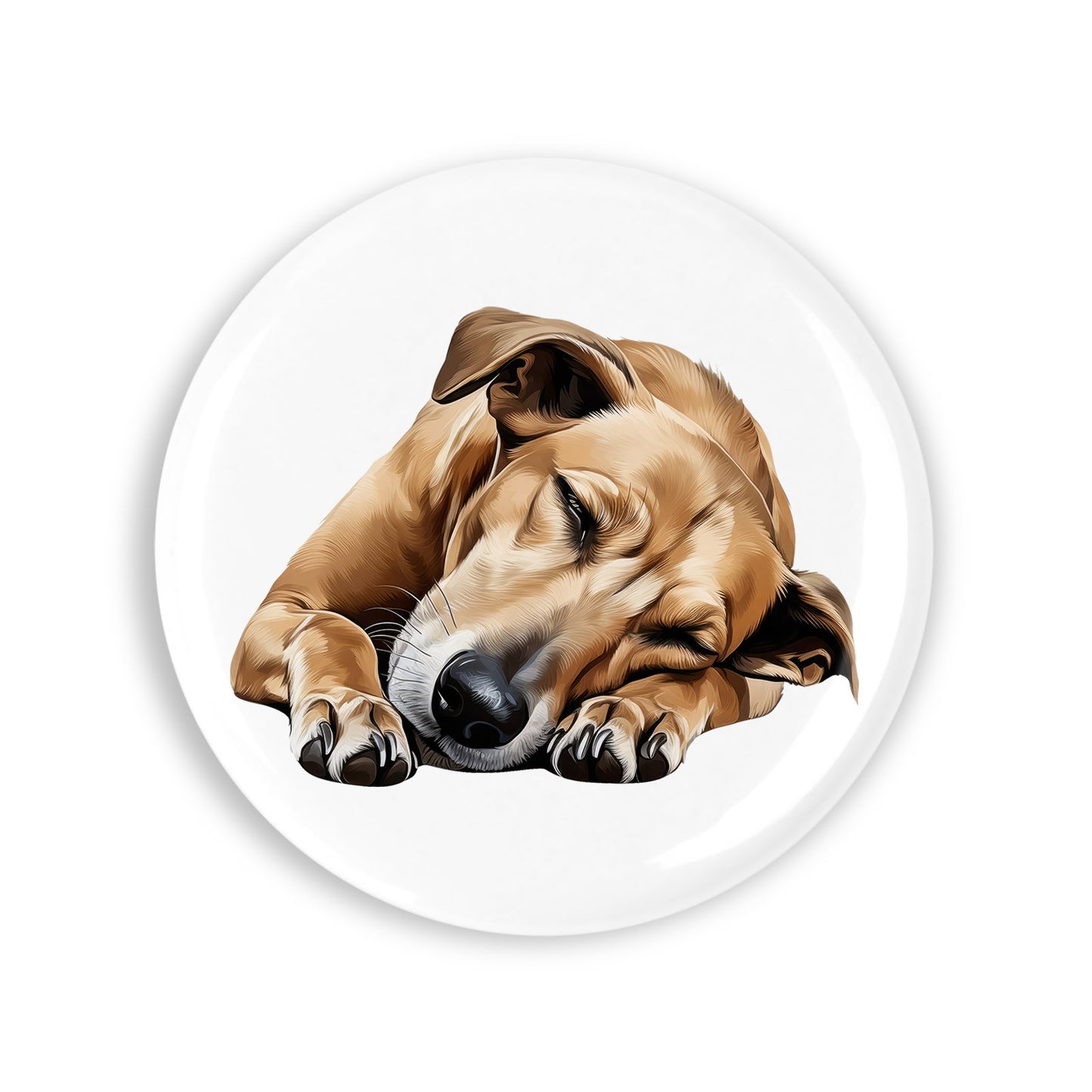 99ff07efd6ced391dc18b0547635a766