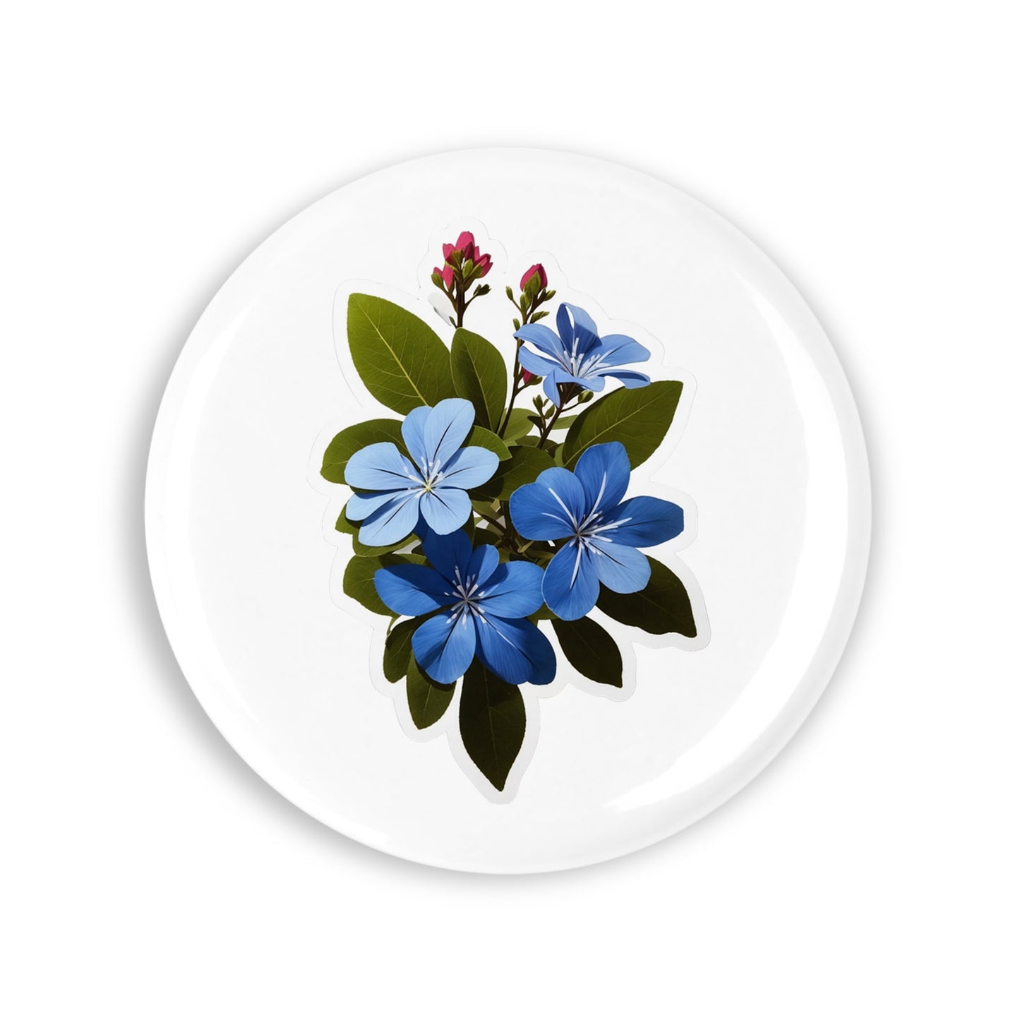 007985485d68bcd6ec14b78d301c76d0