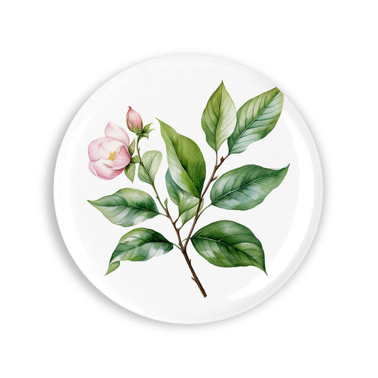 93e86d501d71e26e40efdbec3842b900