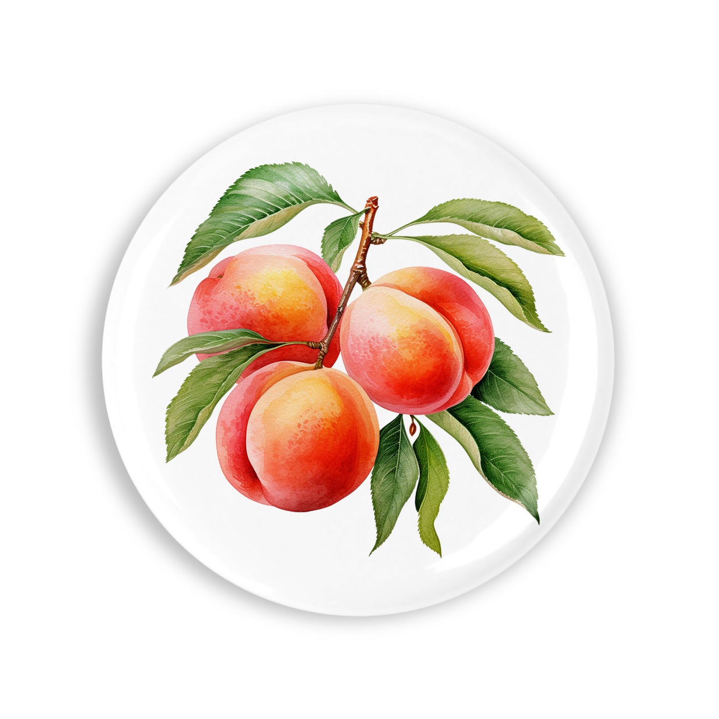 3b5a3f0de00c57fc0194d6dfab101bae