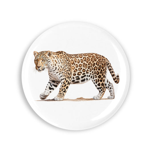 908ce731ac087ec8785e6e7c004d8c63