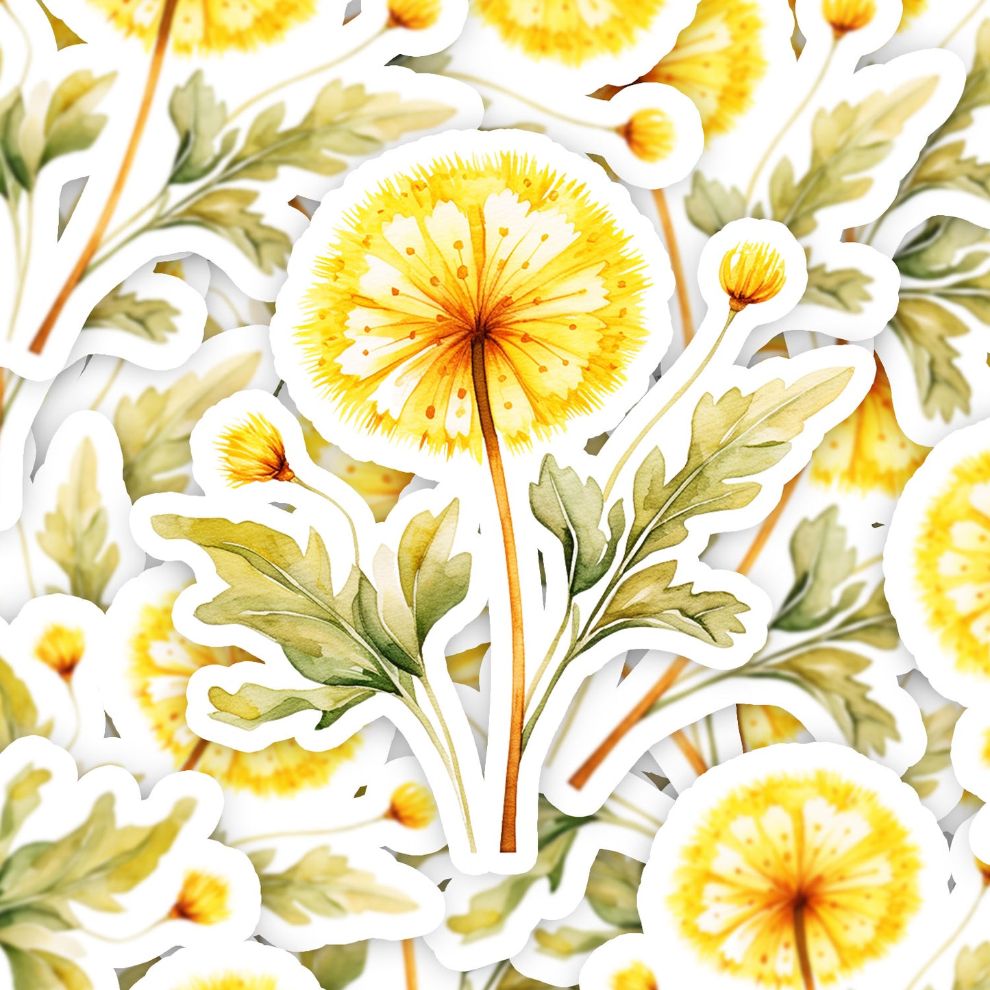 5c579dc777e4b3a2f1c9f5caccc3231e