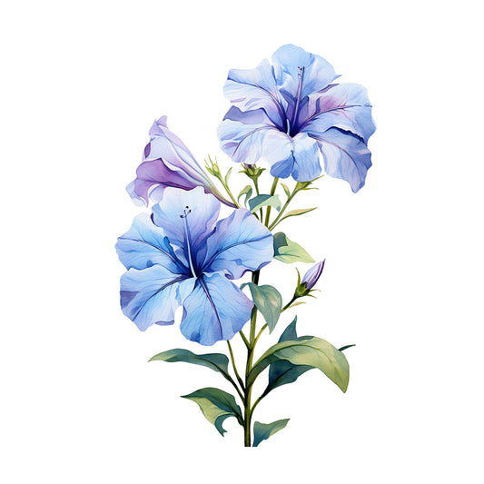 bda5830b70d63f990f6985a7791fcc57