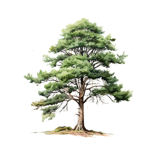 2d5cef08c951b470b750ddd44ff0b767