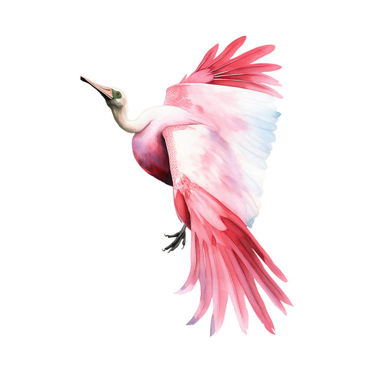 6d7ce5300ac1ad3890a801557a4c8ff6