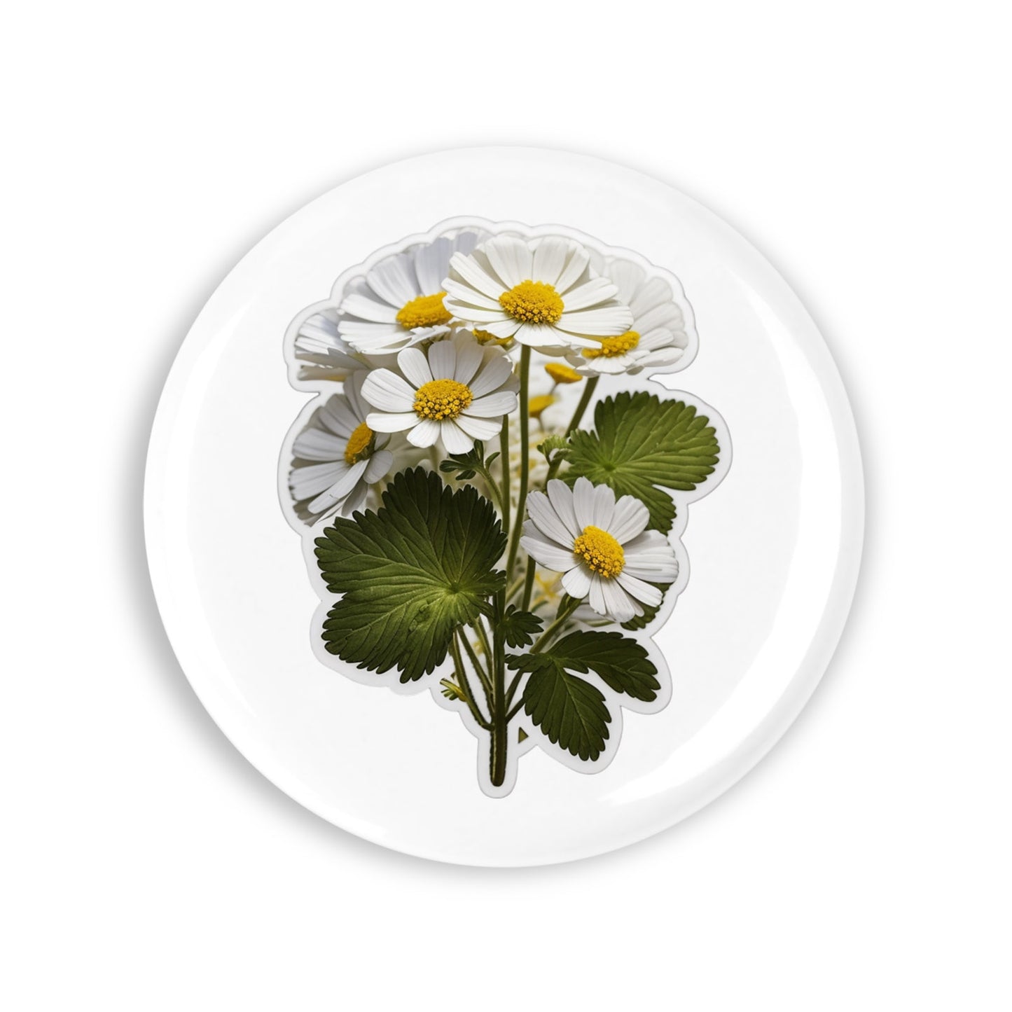 c27170f0540a66d7c3bdddbc499ecb0a