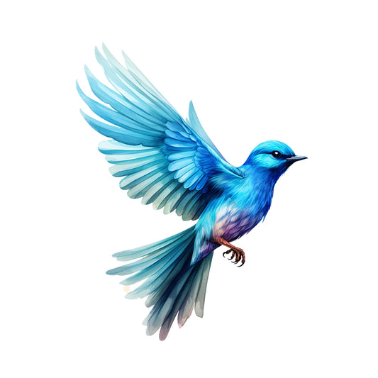 a0e0b6b9e9b3d42fa0de8e79f60b947d