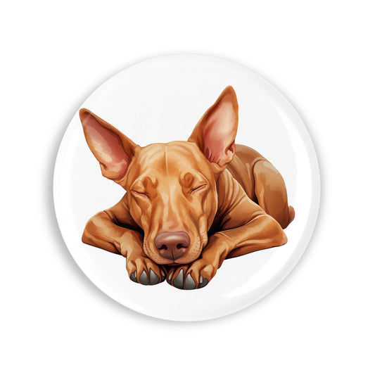 bc6d80c3e5a73c2164c4292be452b7a0