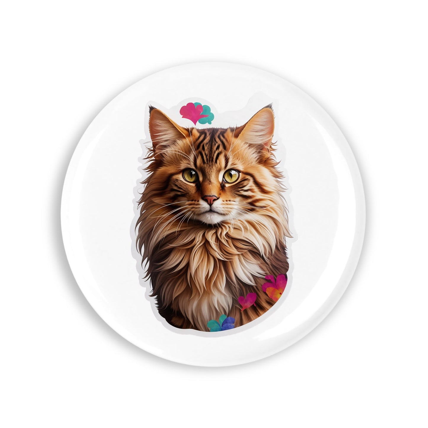 50c77c2fc2a09f6dcad38f8cc3a2b3fc