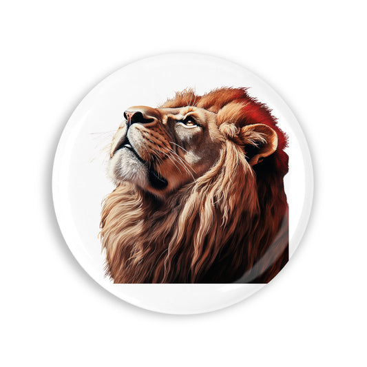 6cc59916a9473fa4adbef08f746192c9