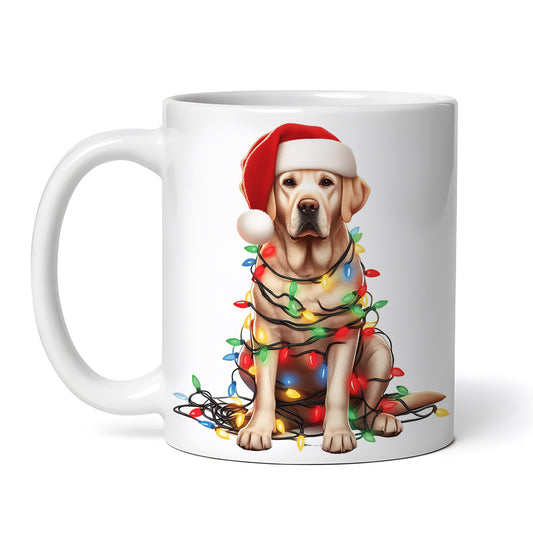 e572a3852d7d6a77fc10947f7665c0f2