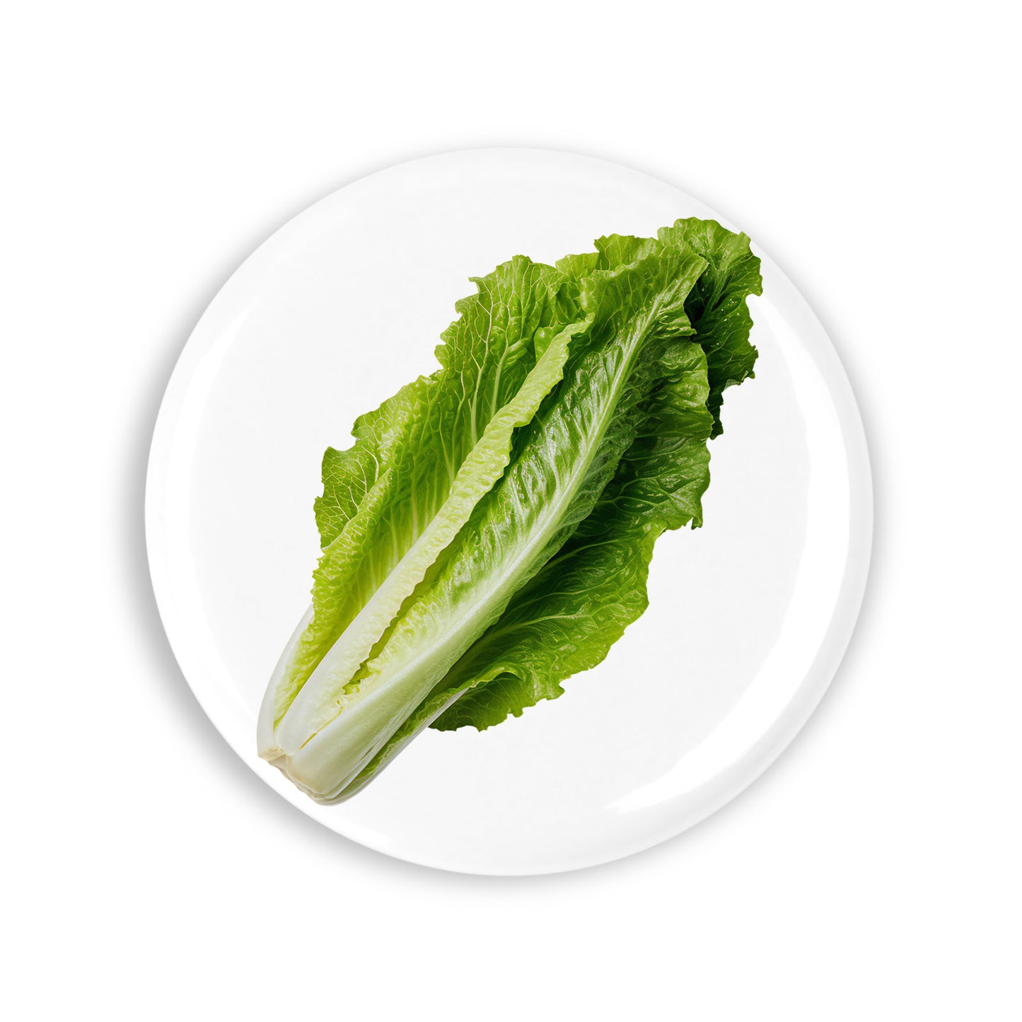 4a0cf1ea02c9d4de28b9c2d394026f81