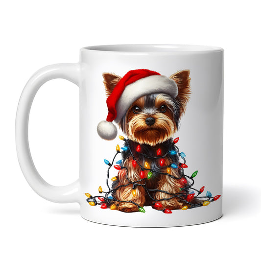 ca03a4e7e2842455ab726e22a18cf8f5