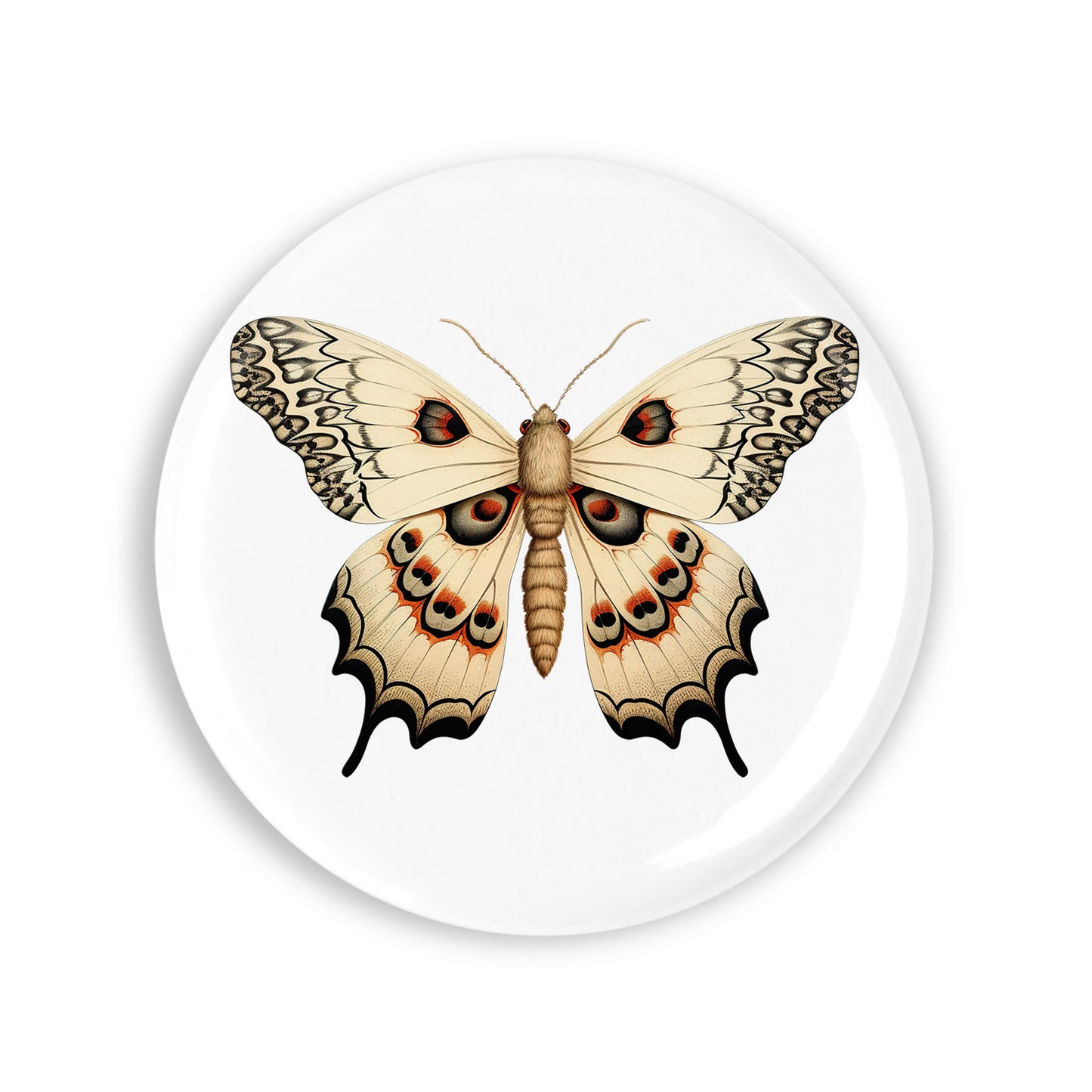 62bc1f0c29b1f6df29cb4c7e112ef98d