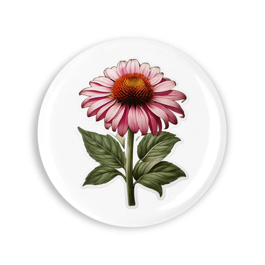 7913c776e43ba925a61fbe8a191883e8