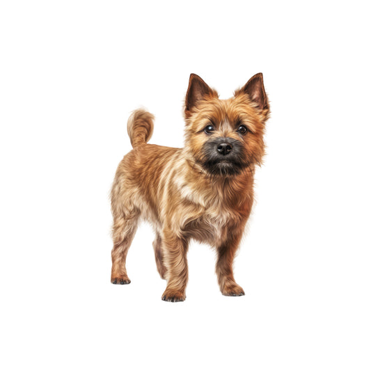 e43d6ceff1b9c270e4469a6460ff6885