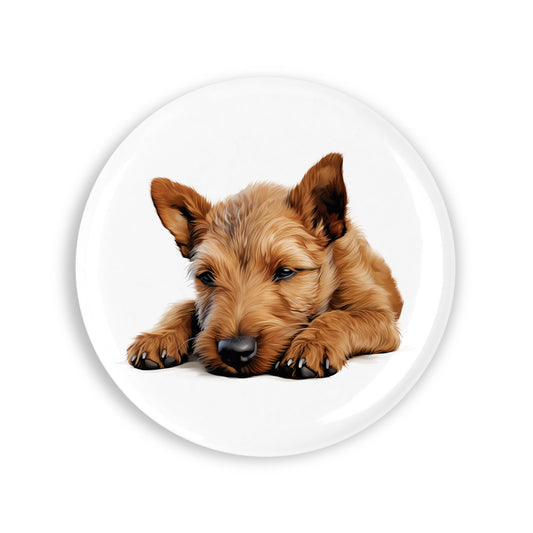 a65c8f220f61d9cc9a837c65dc6369be