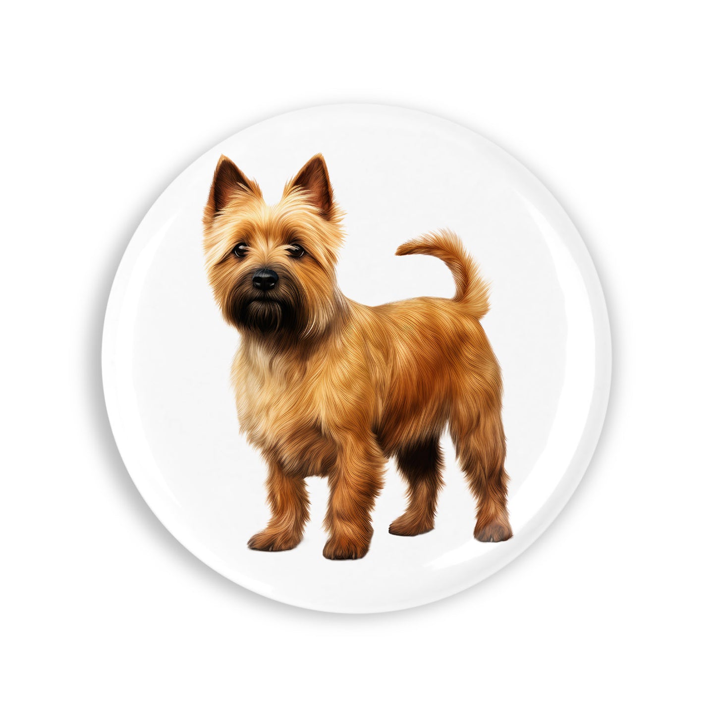 76ad1e2bb857cd64810f737d28fd7c07