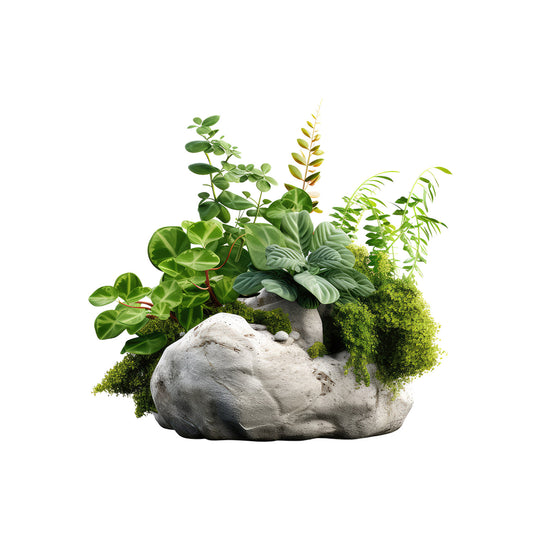 a48a0570a95cdc08c3657821fbcb4c9a