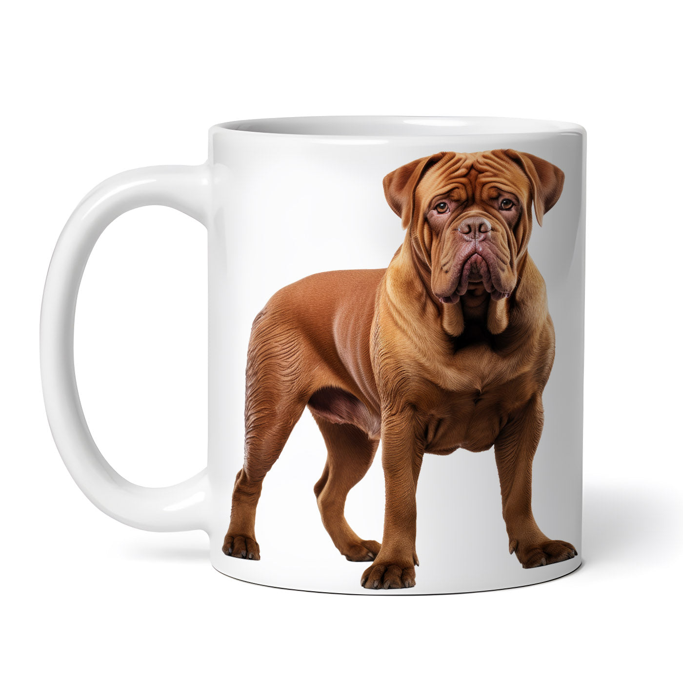 8e422eb66929486d1cada93a099a20c4