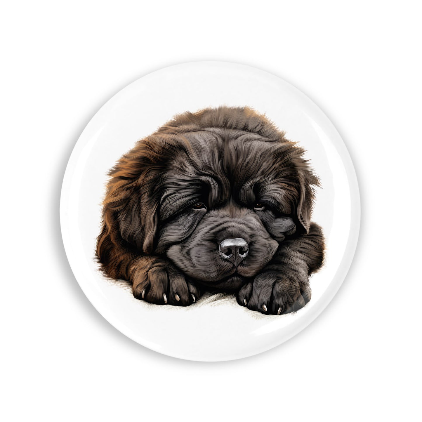 bb1671349f8e74d94f92ede2ed1f04b5