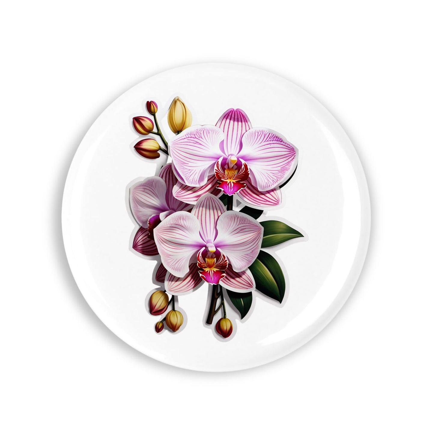 06695a648e6ea3d03b81a40ff6b54d62