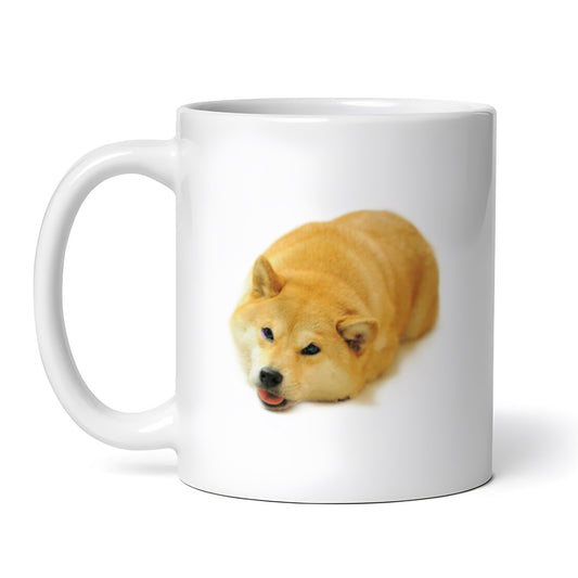 3c22569976ec7b8ffbd8d3d3febee243