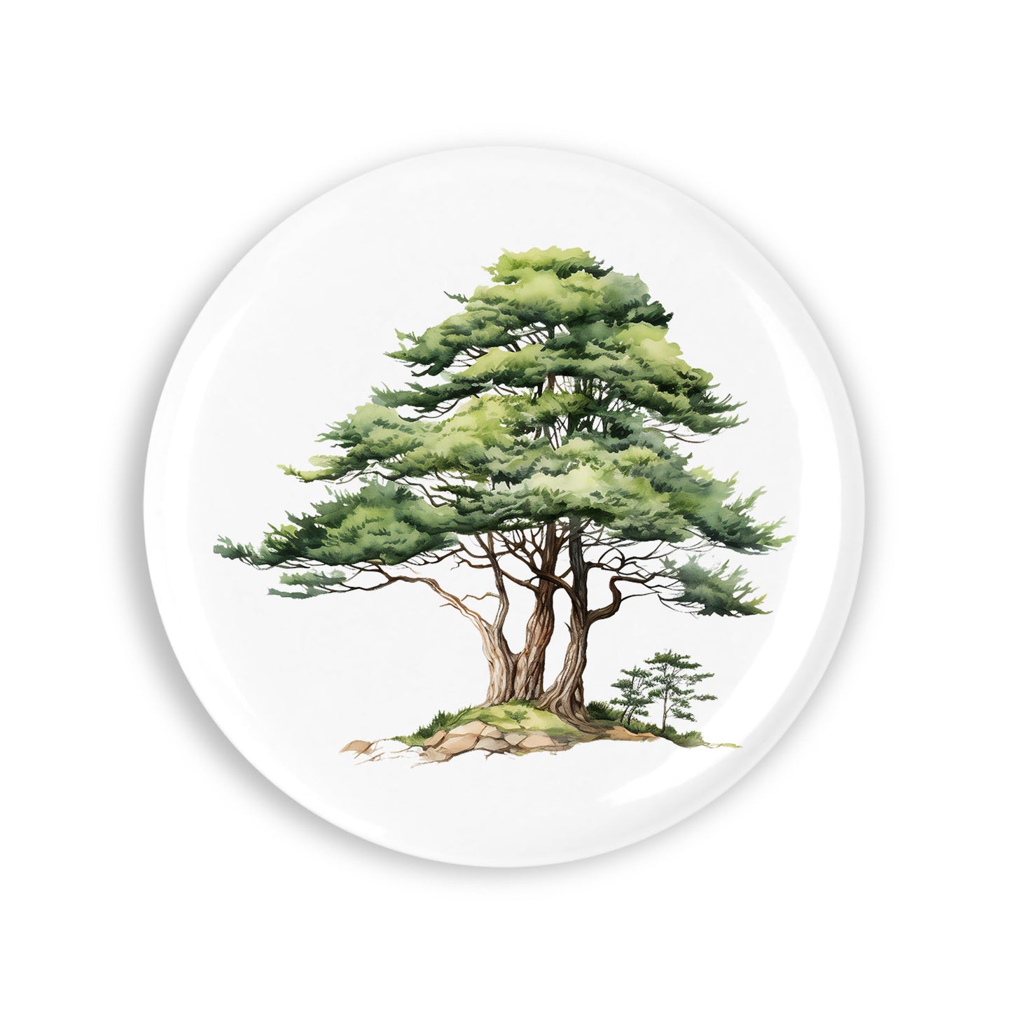 e00387fbe92367ed12a0bcd171d46a73