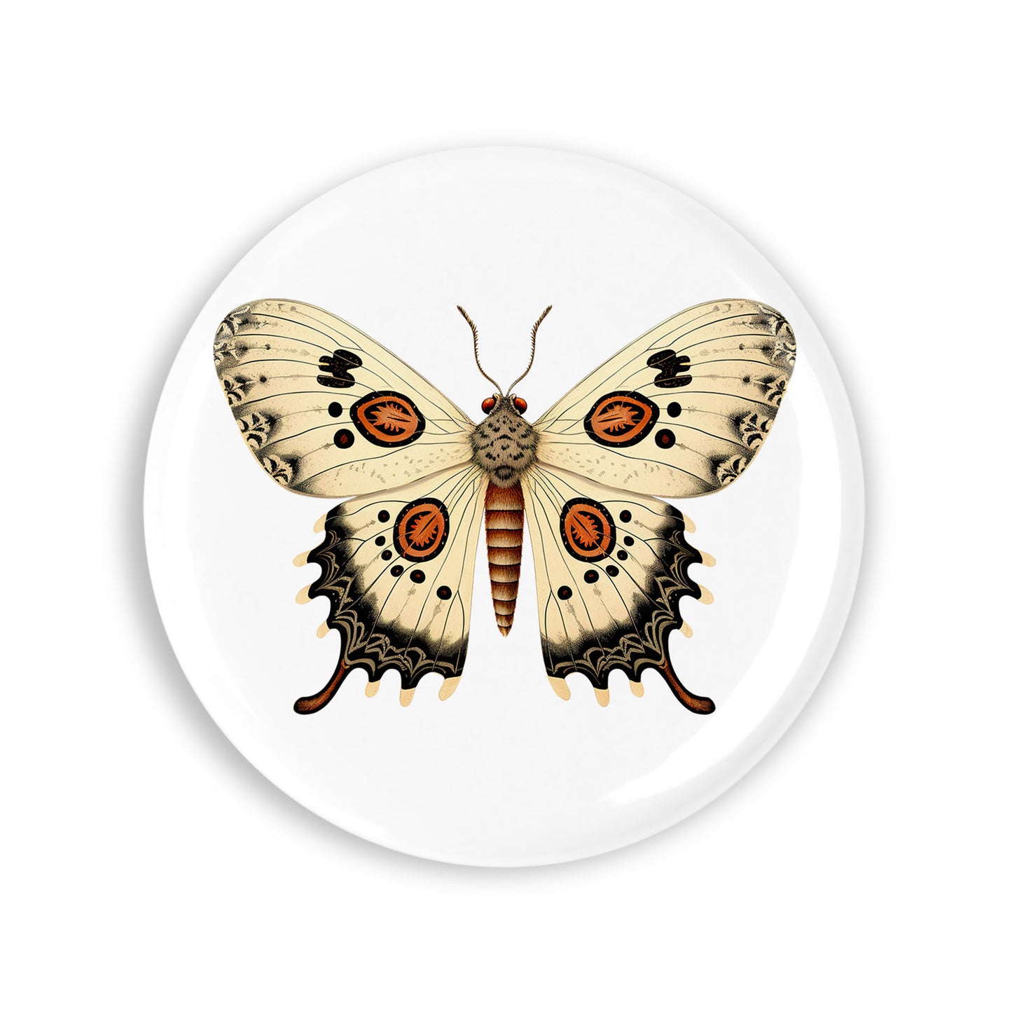 4191b6fa331e325040f061473ea334be