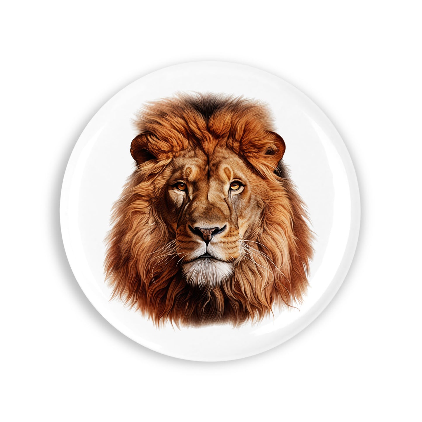 92ac9bd3d0c65aab55c7179ec826ee2d