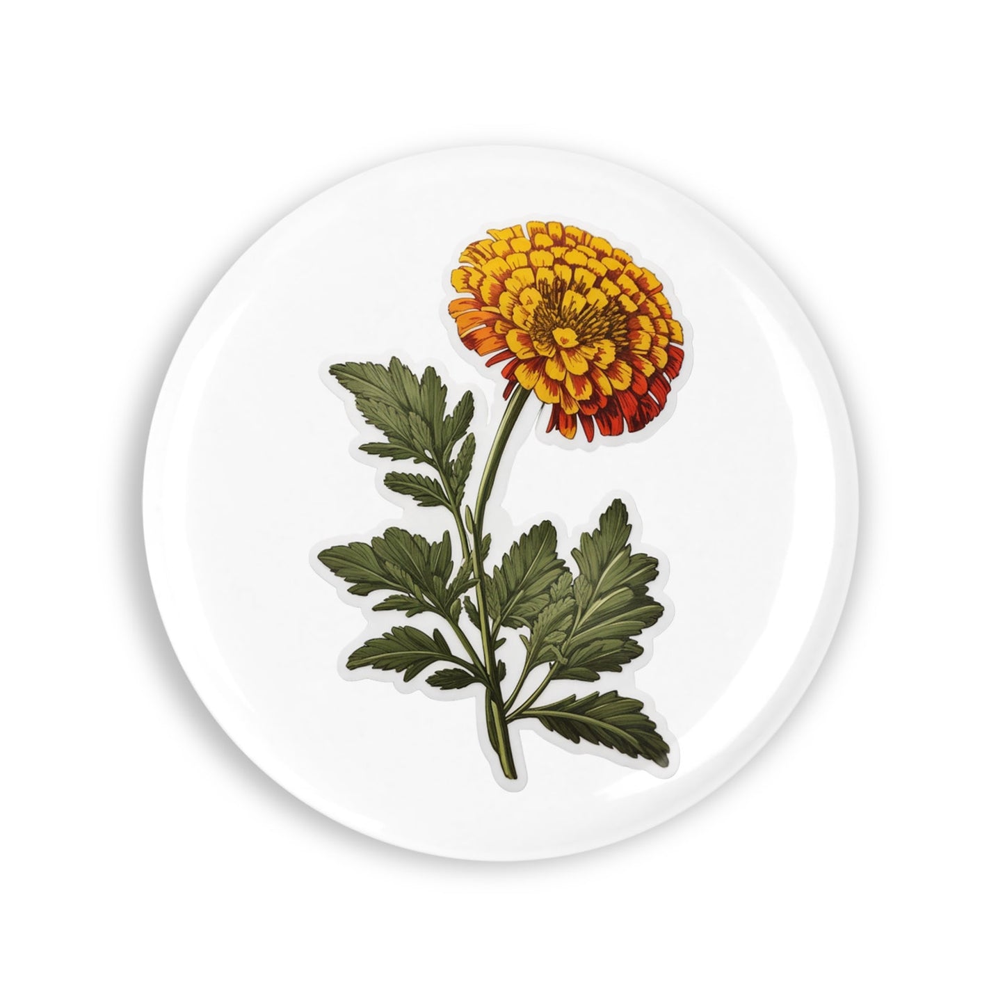 4de719d804127d0050679873e8c0751e