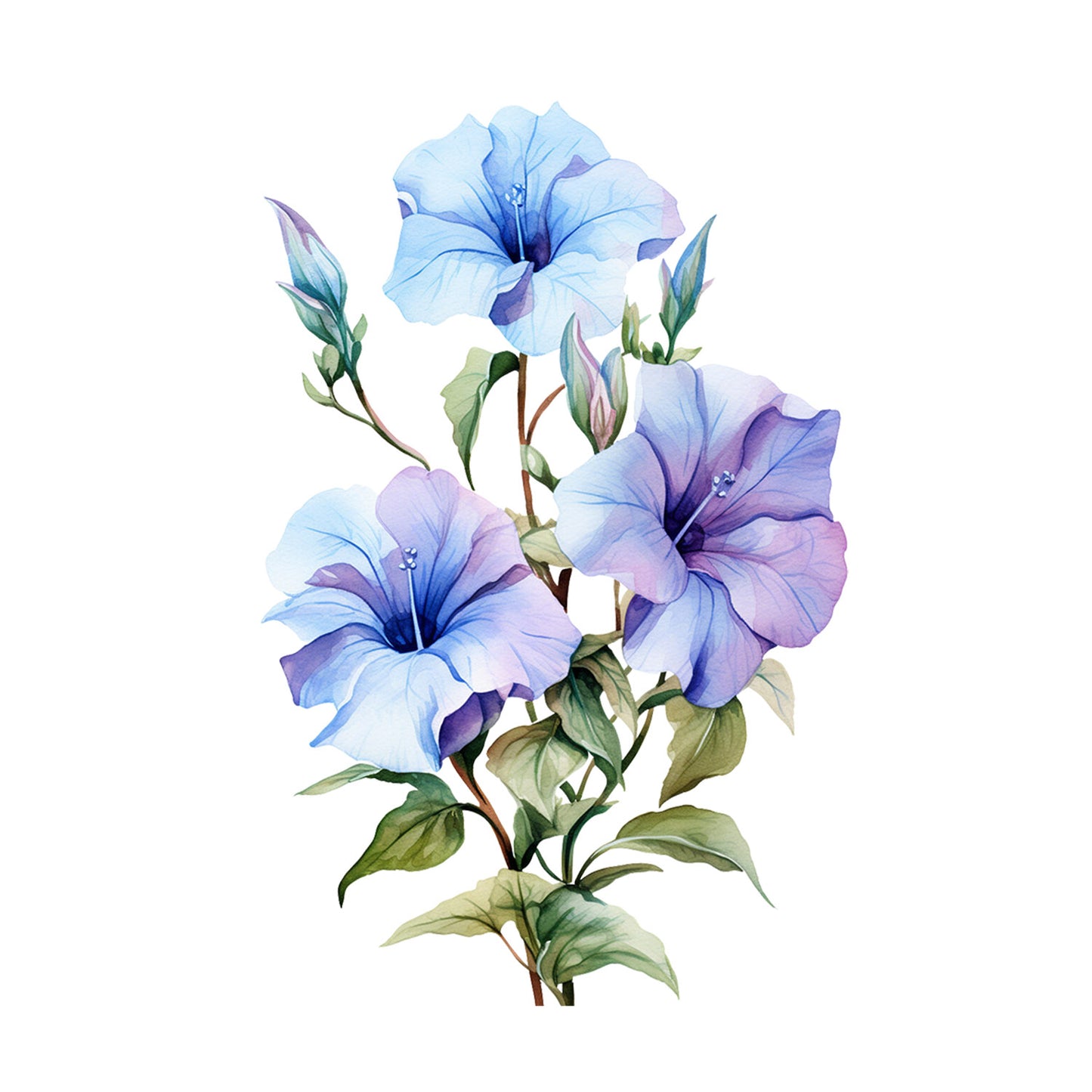 c37bda469fb24a5c3ed2741015eb1a64