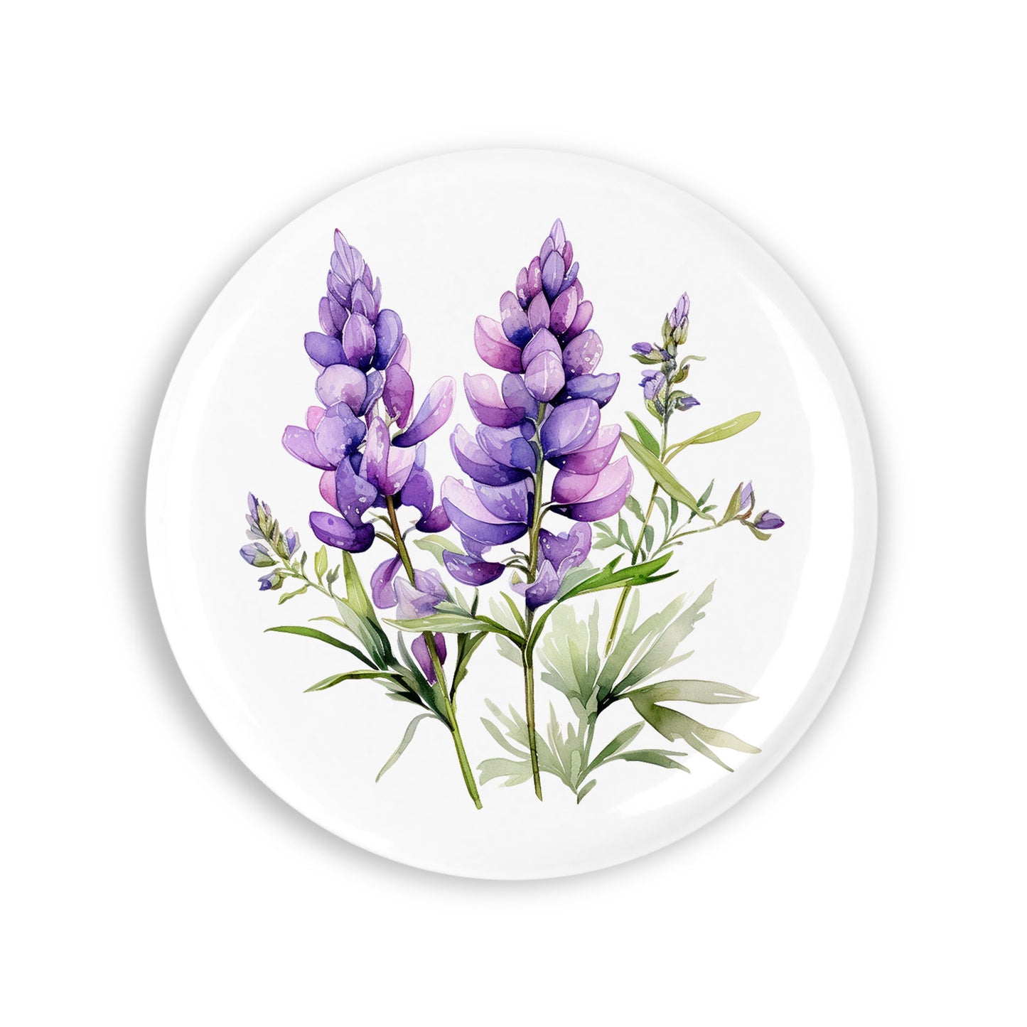 93b9b68e226505ca2ccc9841e64cf114