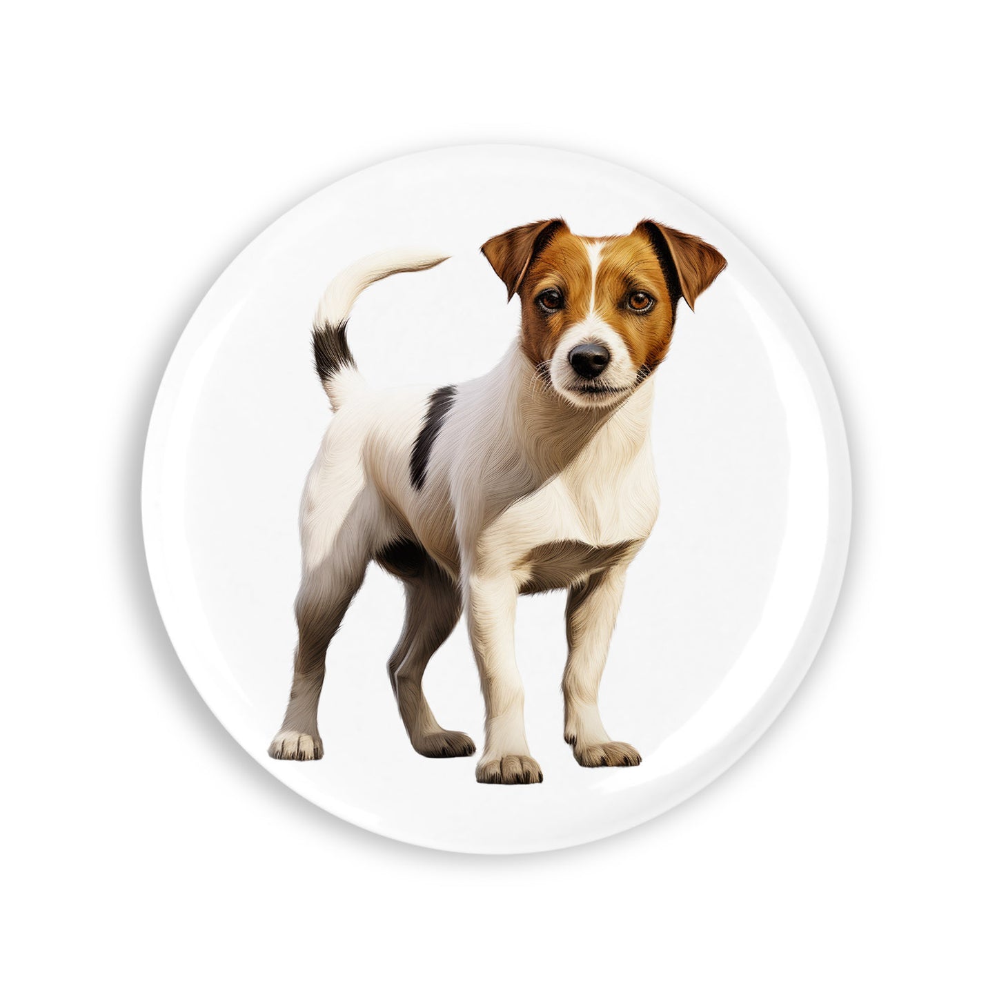 b550648496c70b2b17db038165d321e4