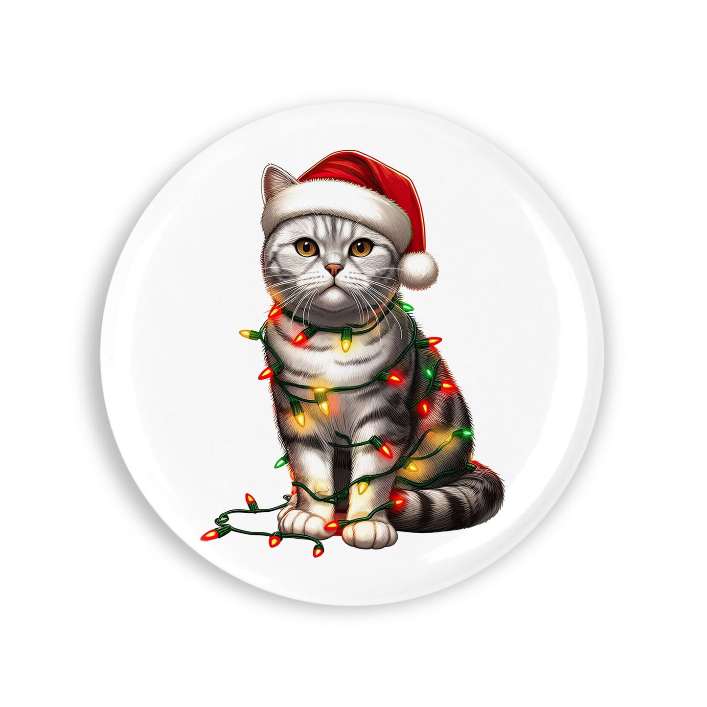 ebb77a5ff99e8b8eaf33a3a41e6d261d