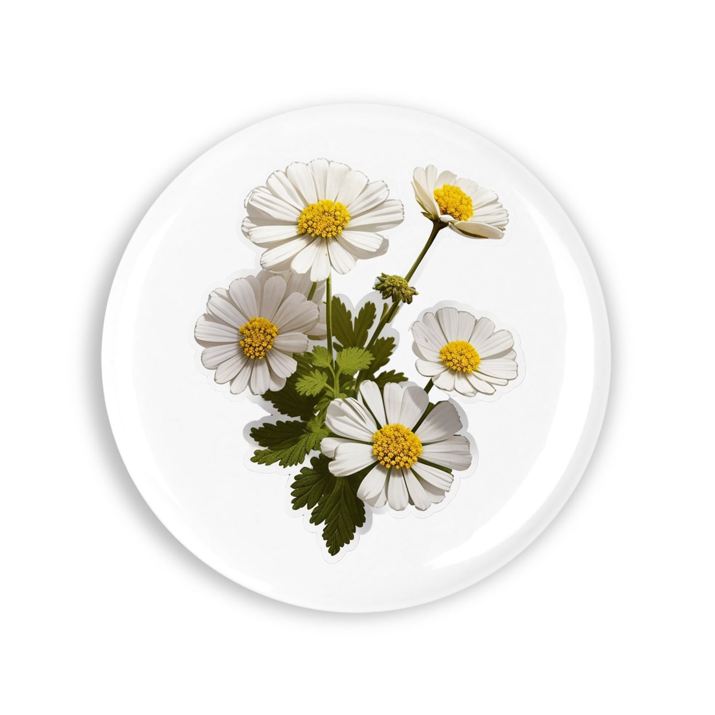 ecb5b83c3c47ec0aadf80e2ac9570808