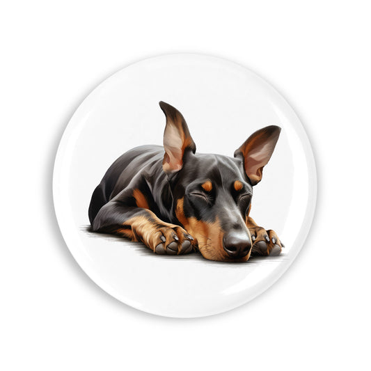 6077b9169d91ef28b49003ad9a35d479