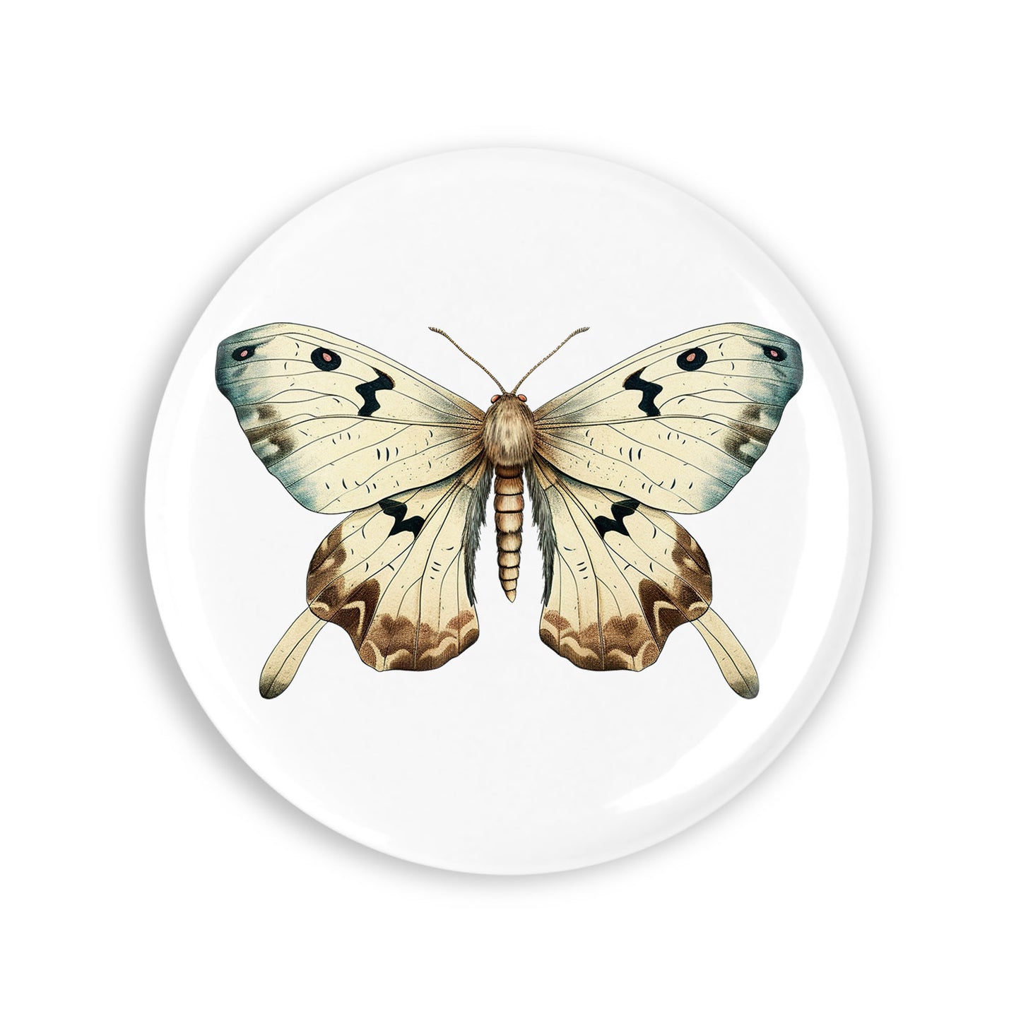 f82f5c5c63d40c0acd84297bf3df7fff