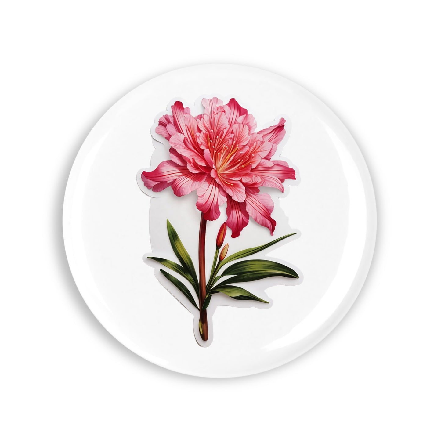 413dc94163ada095f57911ab6f6ebc26