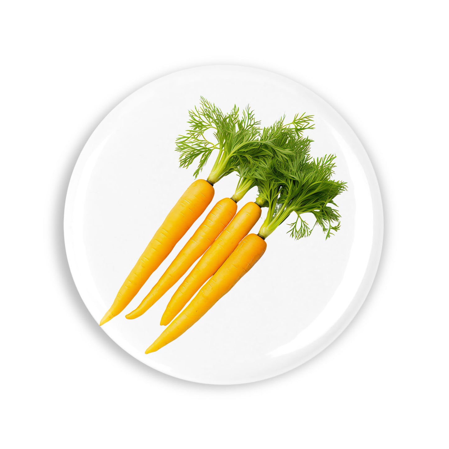 fba197efca8dbc767c822fd46c983c24