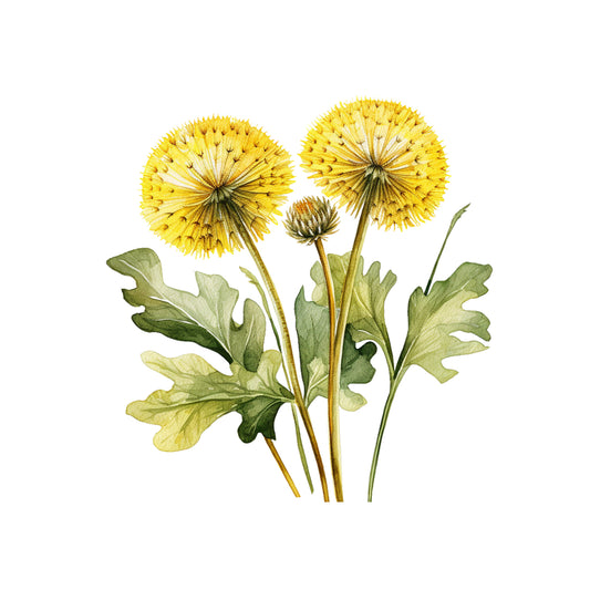 73c3136b114f5bbb3429e507741fc14b