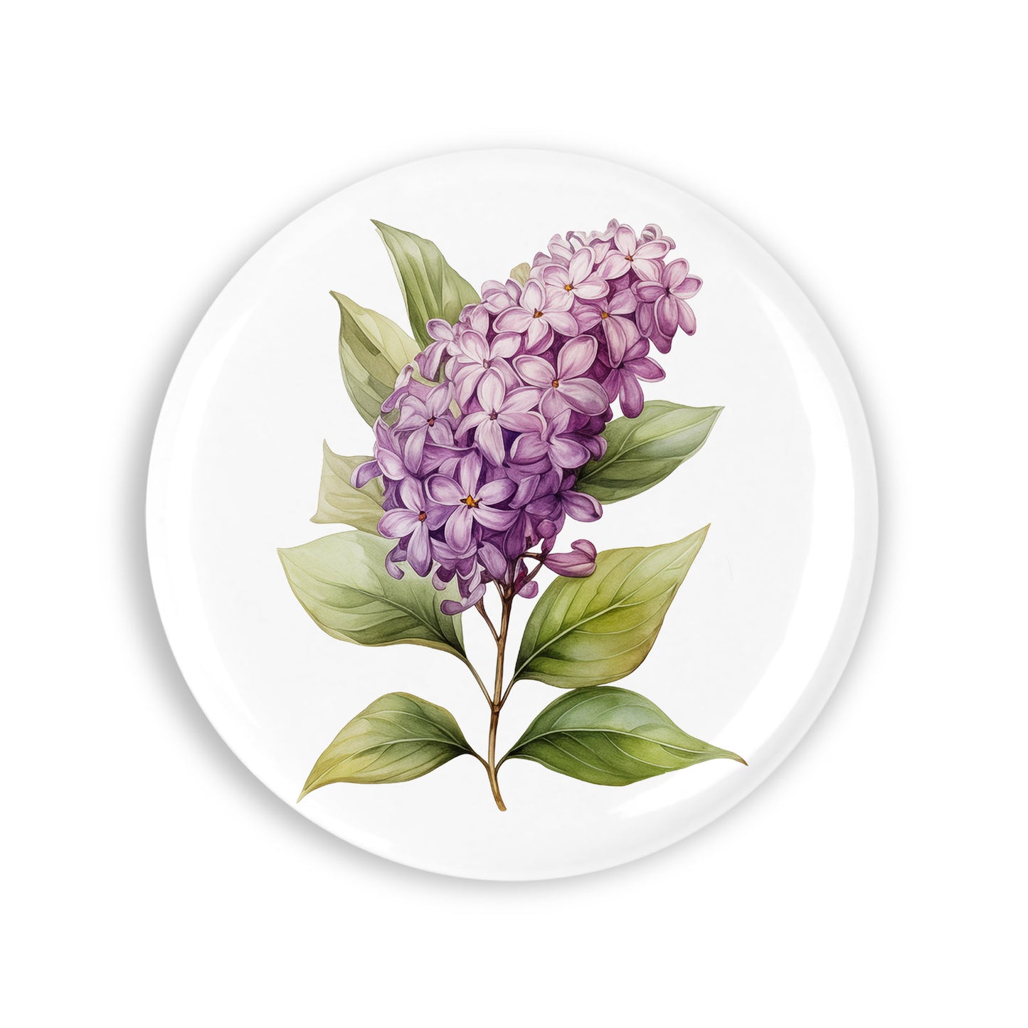 43e861c7066dbc8f350621134dc57849