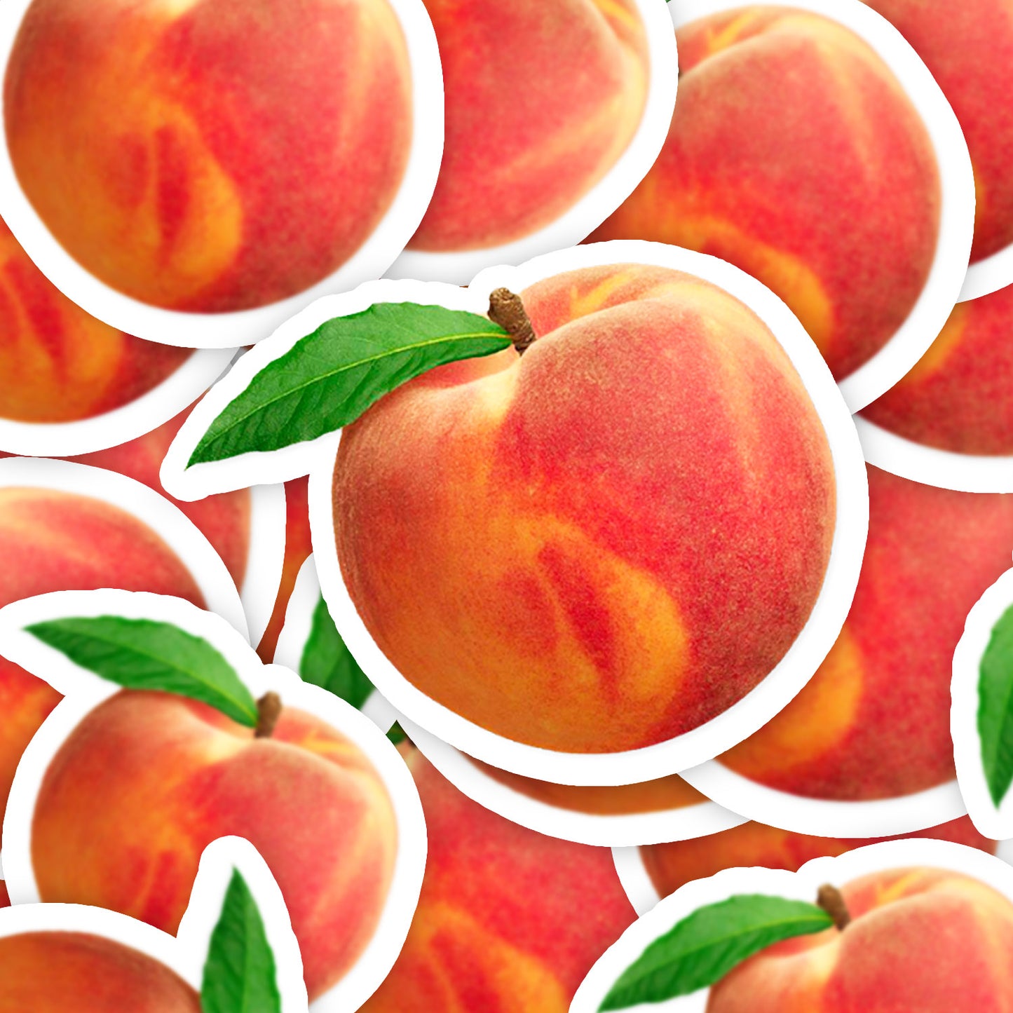 536185974dc0fe26abff6bcea5caf912